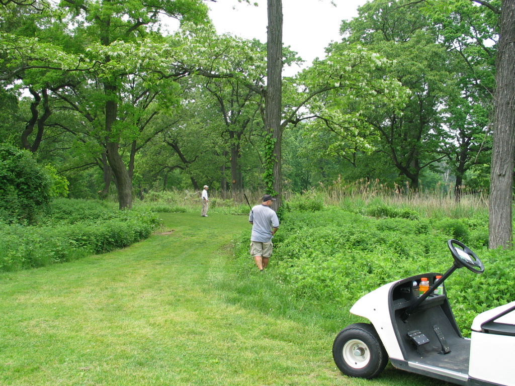 305-0600_IMG.JPG
